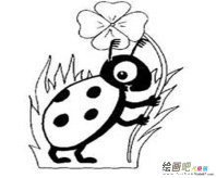 七星瓢虫简笔画：七星瓢虫简笔画